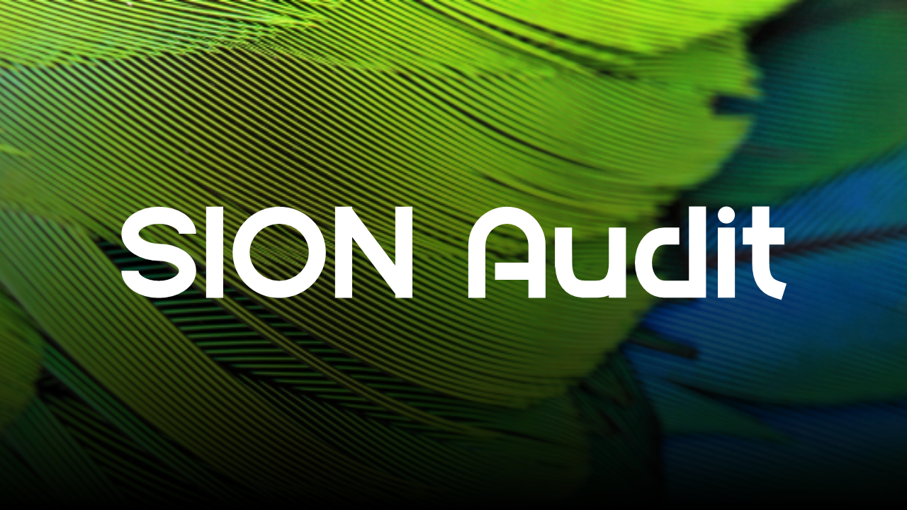 SION Audit Banner